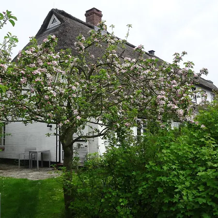 Georg Asmussen Haus *